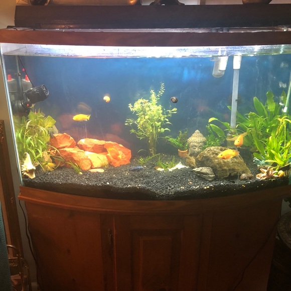 Meet your Posher, Lara - Picture 3 of 4